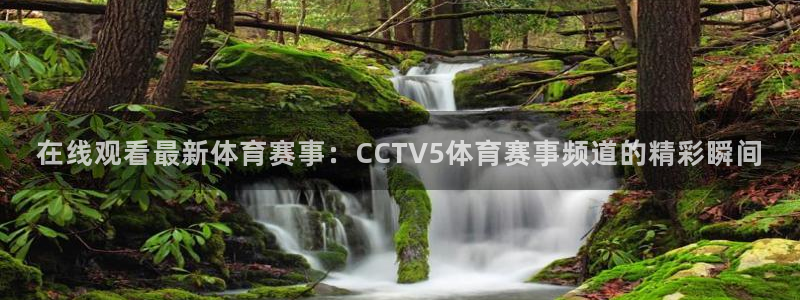 在线观看最新体育赛事：CCTV5体育赛事频道的精彩瞬间