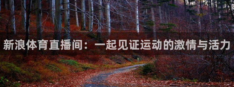新浪体育直播间：一起见证运动的激情与活力