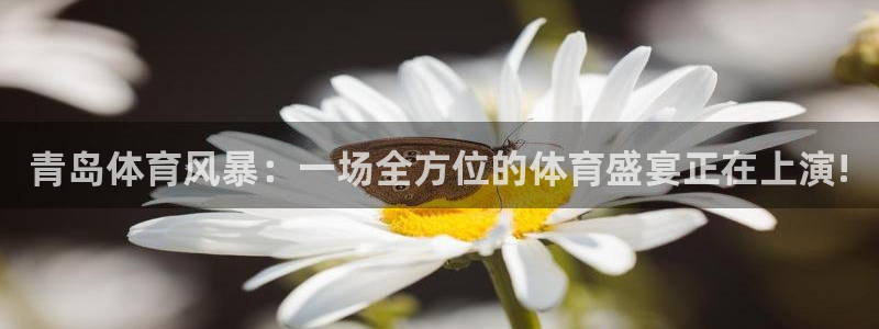 青岛体育风暴：一场全方位的体育盛宴正在上演!