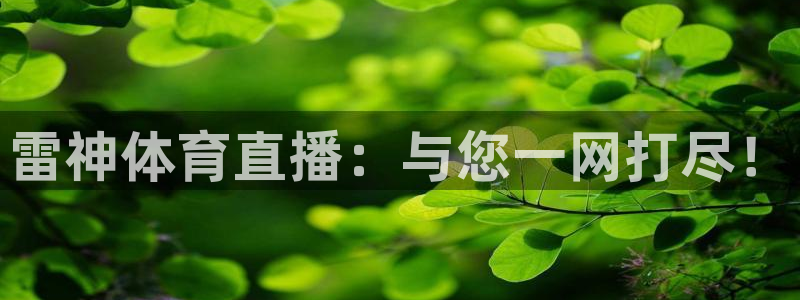 雷神体育直播：与您一网打尽！