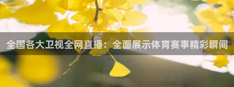 全国各大卫视全网直播：全面展示体育赛事精彩瞬间