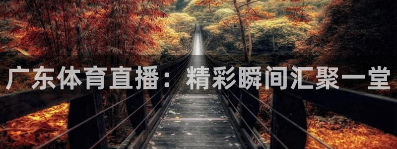 广东体育直播：精彩瞬间汇聚一堂