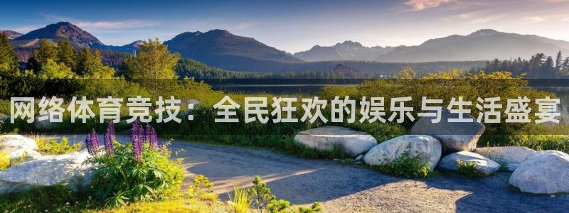 网络体育竞技：全民狂欢的娱乐与生活盛宴
