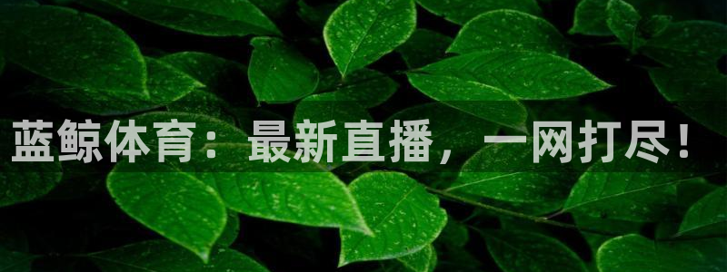 蓝鲸体育：最新直播，一网打尽！