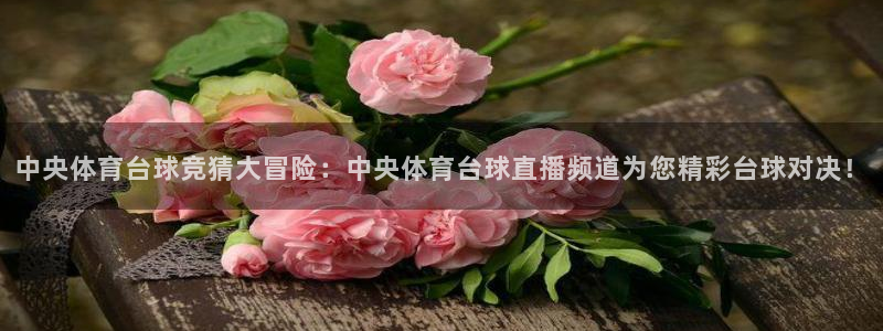 中央体育台球竞猜大冒险：中央体育台球直播频道为您精彩台球对决！