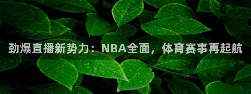 劲爆直播新势力：NBA全面，体育赛事再起航