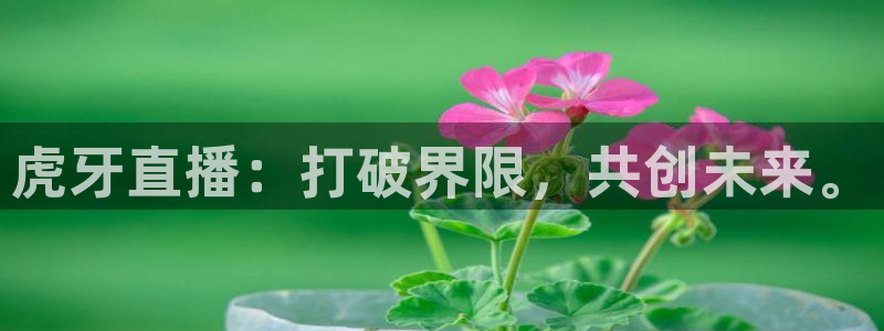 虎牙直播：打破界限，共创未来。