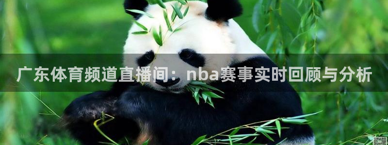 广东体育频道直播间：nba赛事实时回顾与分析