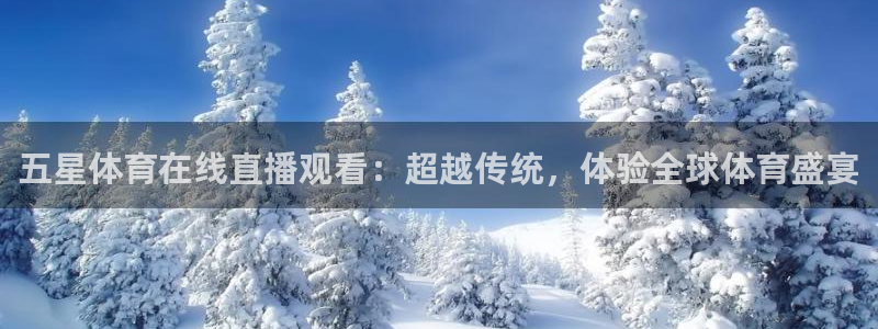 五星体育在线直播观看：超越传统，体验全球体育盛宴