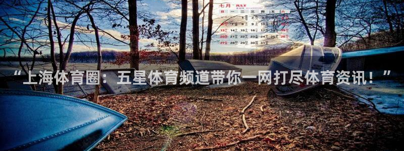 “上海体育圈：五星体育频道带你一网打尽体育资讯！”