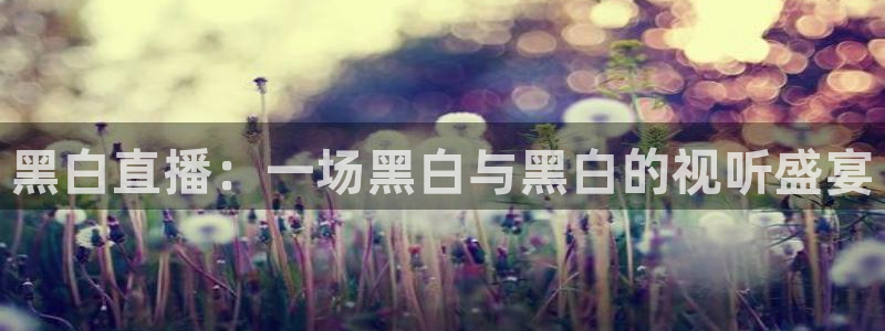 黑白直播：一场黑白与黑白的视听盛宴