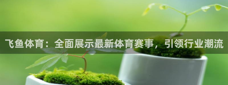 飞鱼体育：全面展示最新体育赛事，引领行业潮流