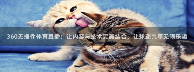 360无插件体育直播：让内容与技术完美结合，让球迷共享无限乐趣