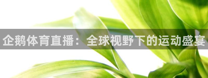 企鹅体育直播：全球视野下的运动盛宴