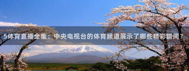 5体育直播全集：中央电视台的体育频道展示了哪些精彩瞬间？