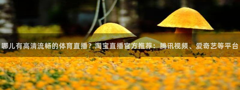 哪儿有高清流畅的体育直播？淘宝直播官方推荐：腾讯视频、爱奇艺等平台