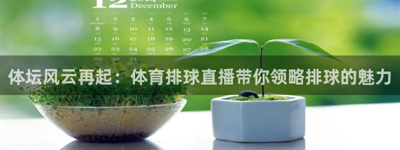 体坛风云再起：体育排球直播带你领略排球的魅力