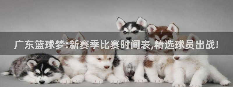 广东篮球梦:新赛季比赛时间表,精选球员出战!